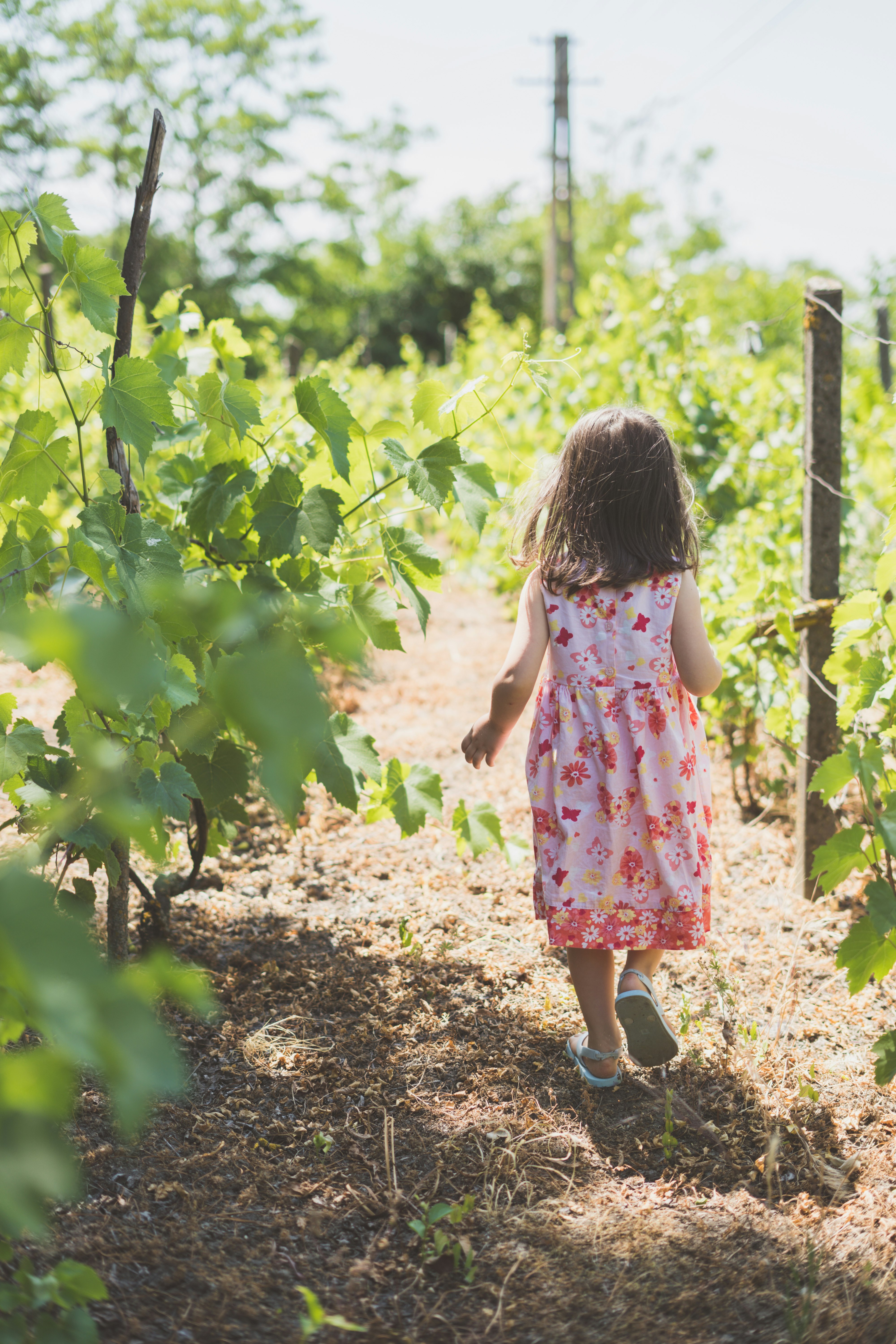 girl walking near plants